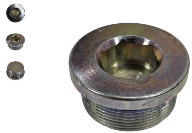 BUJÃO CUBO TRAÇÃO CUBO ZF - 36mm x 1,5mm 3176259
